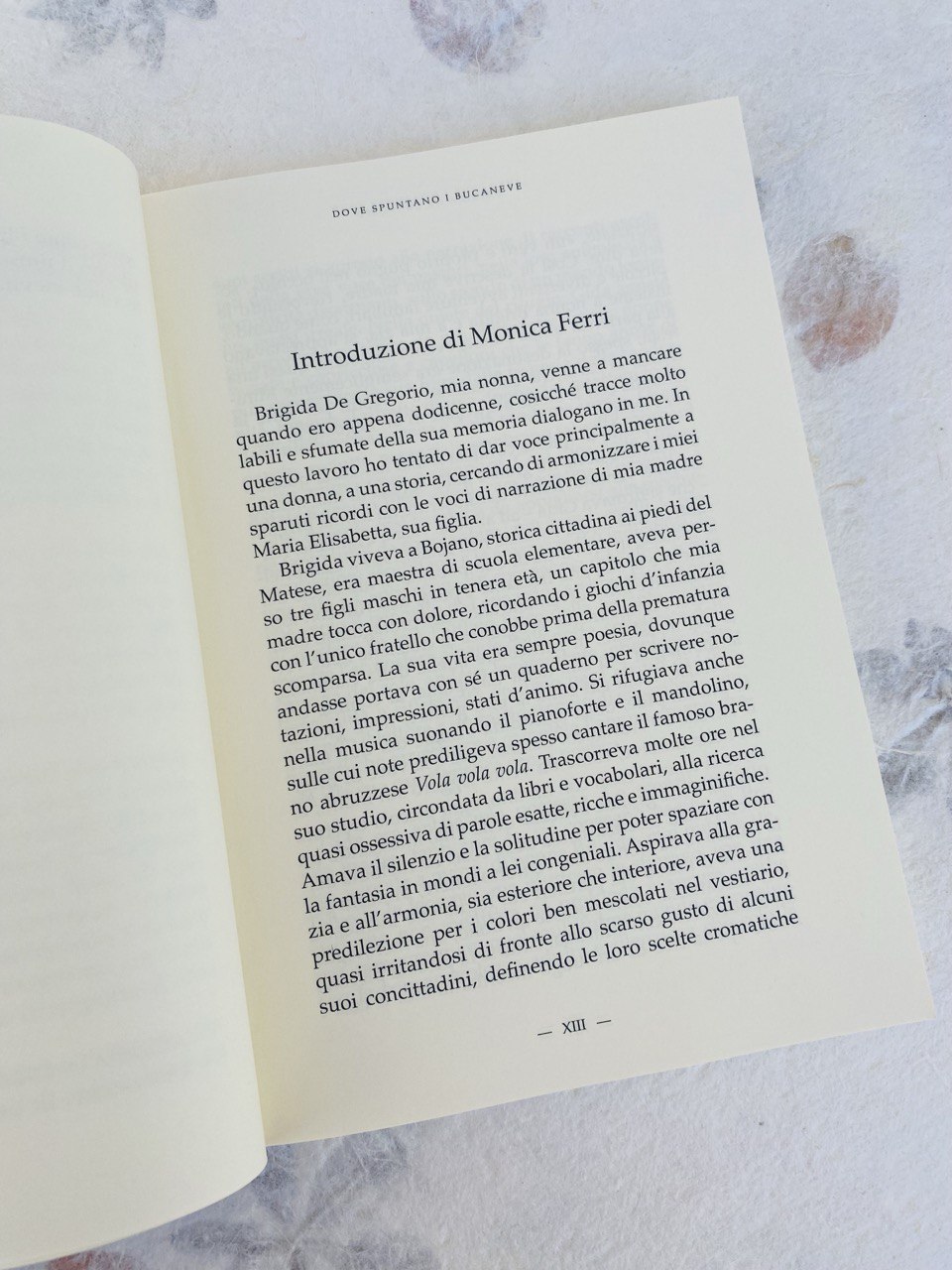 DOVE SPUNTANO I BUCANEVE - immagine 3