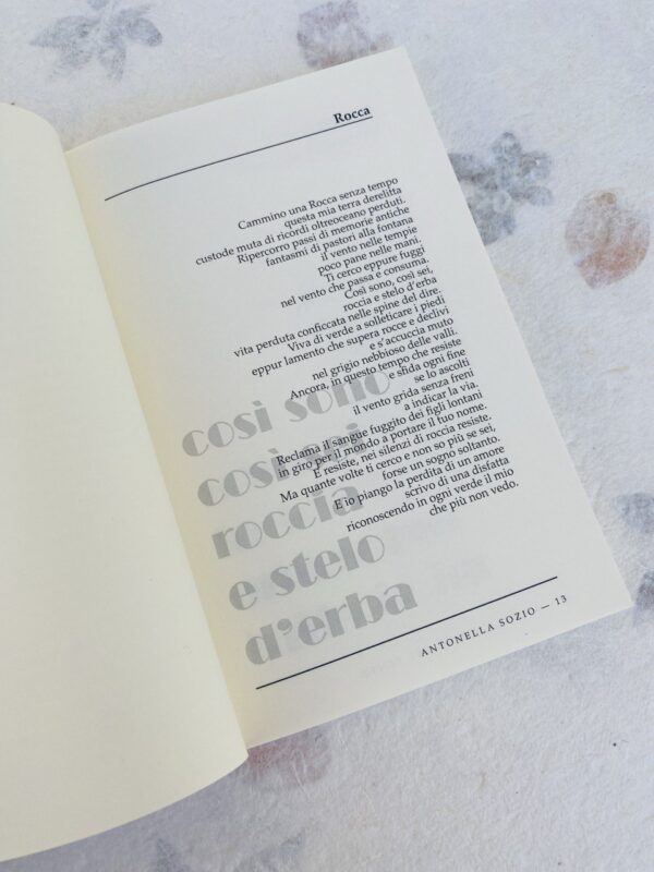 LA GRAMMATICA DEL VENTO - immagine 4