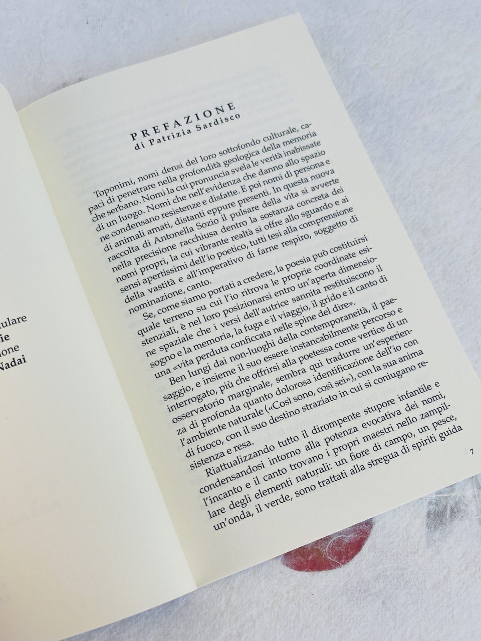 LA GRAMMATICA DEL VENTO - immagine 3